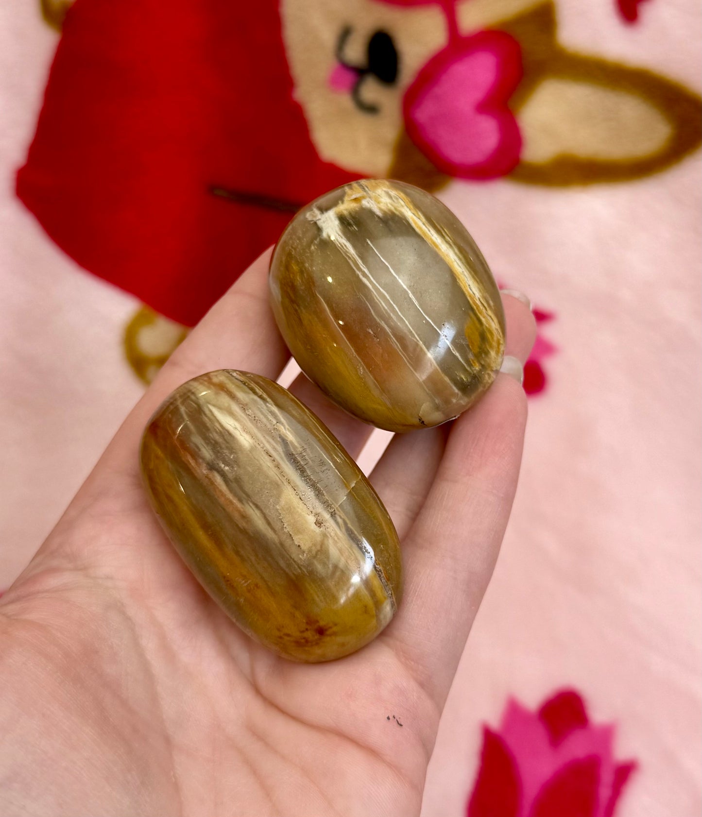 Petrified wood palm stones ￼