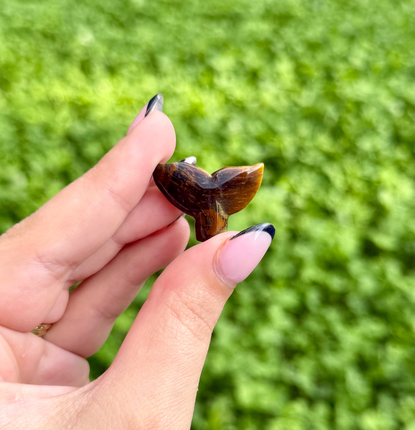 Tigers eye whale tail carving