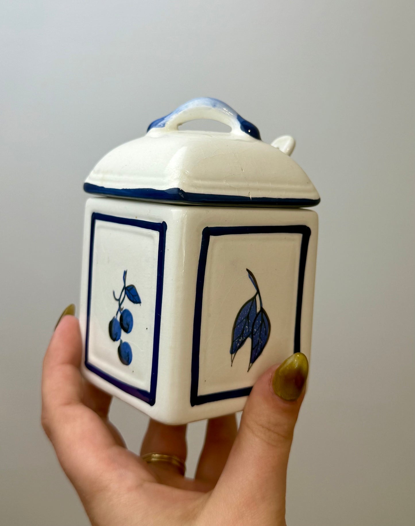 Blueberry sugar jar hand painted thrifted find