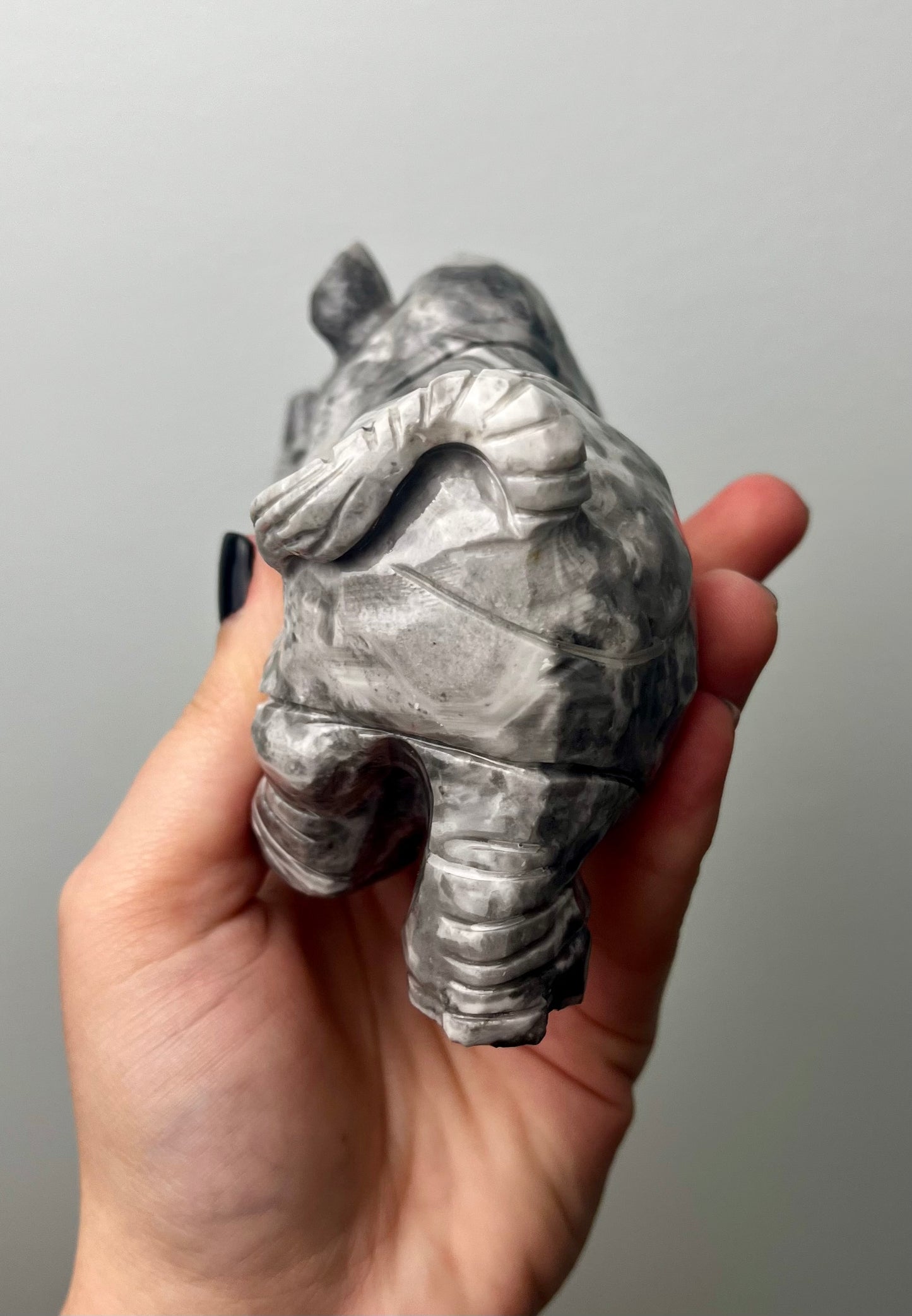 Rhino carving