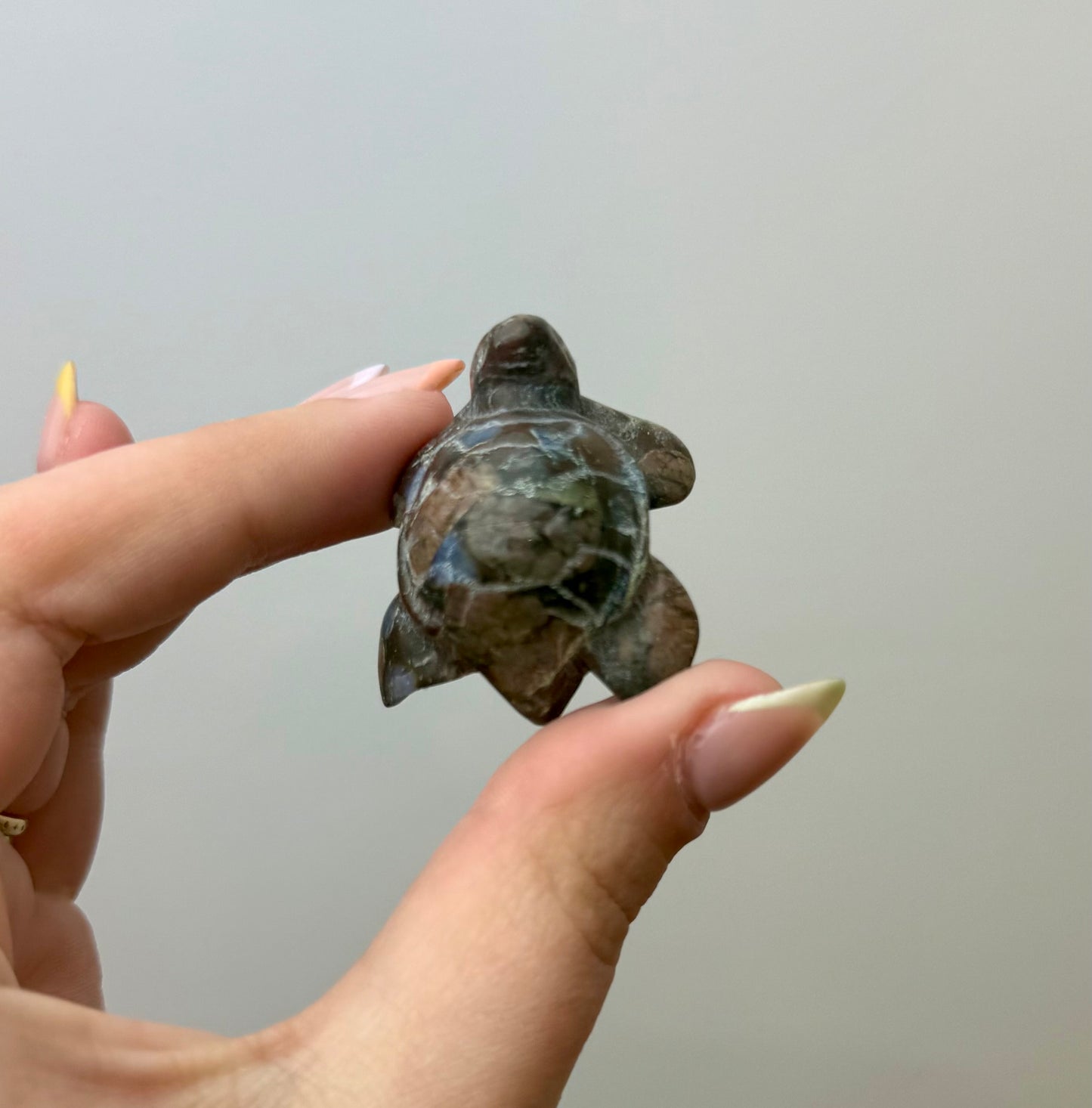 Que-sera turtle carving