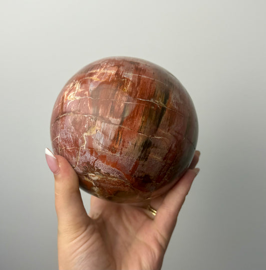 Petrified wood sphere