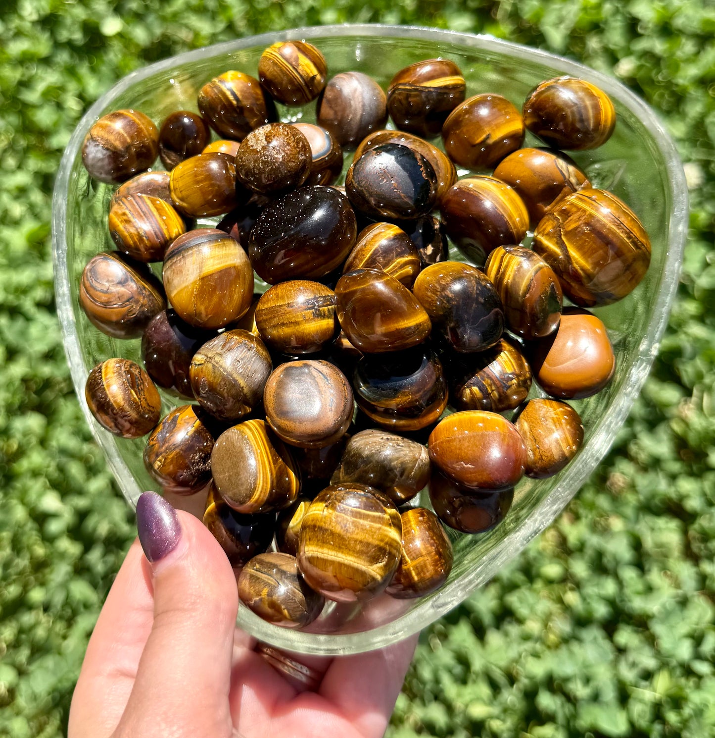 Tigers eye tumbles