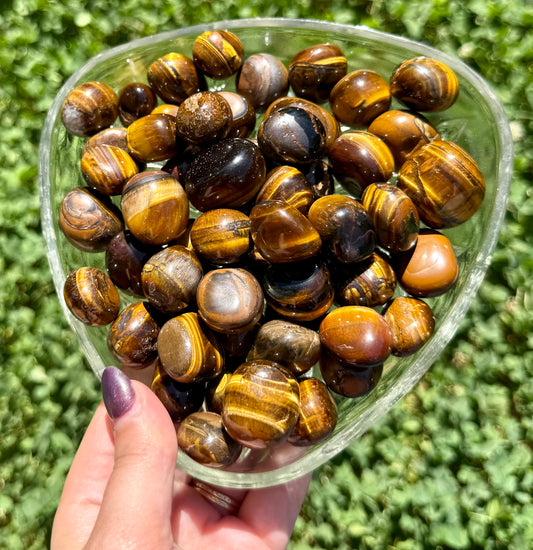 Tigers eye tumbles