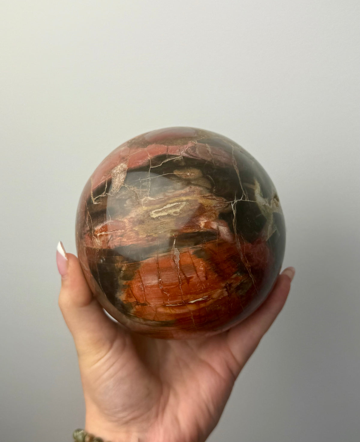 Petrified wood sphere