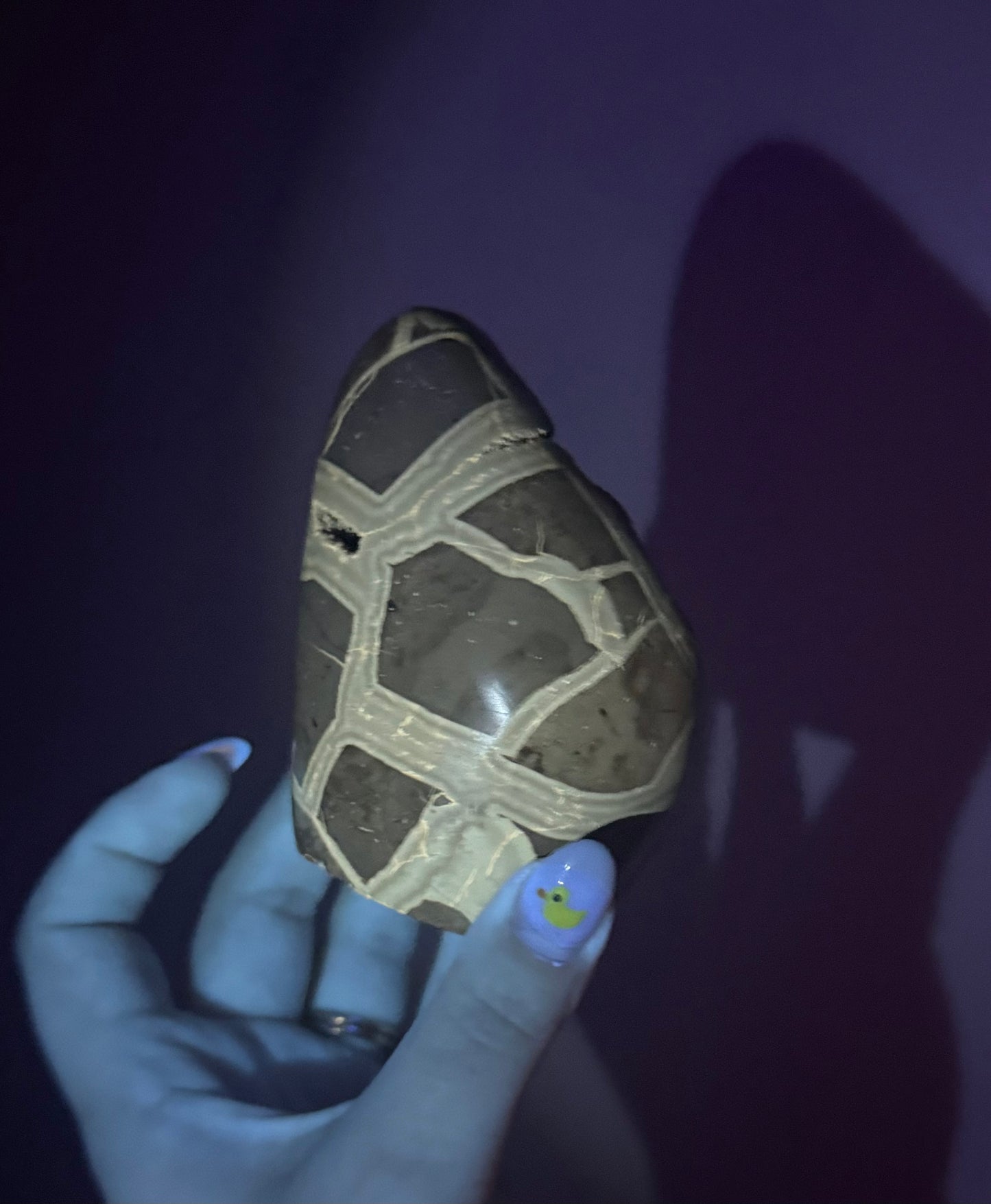 Septarian freeform