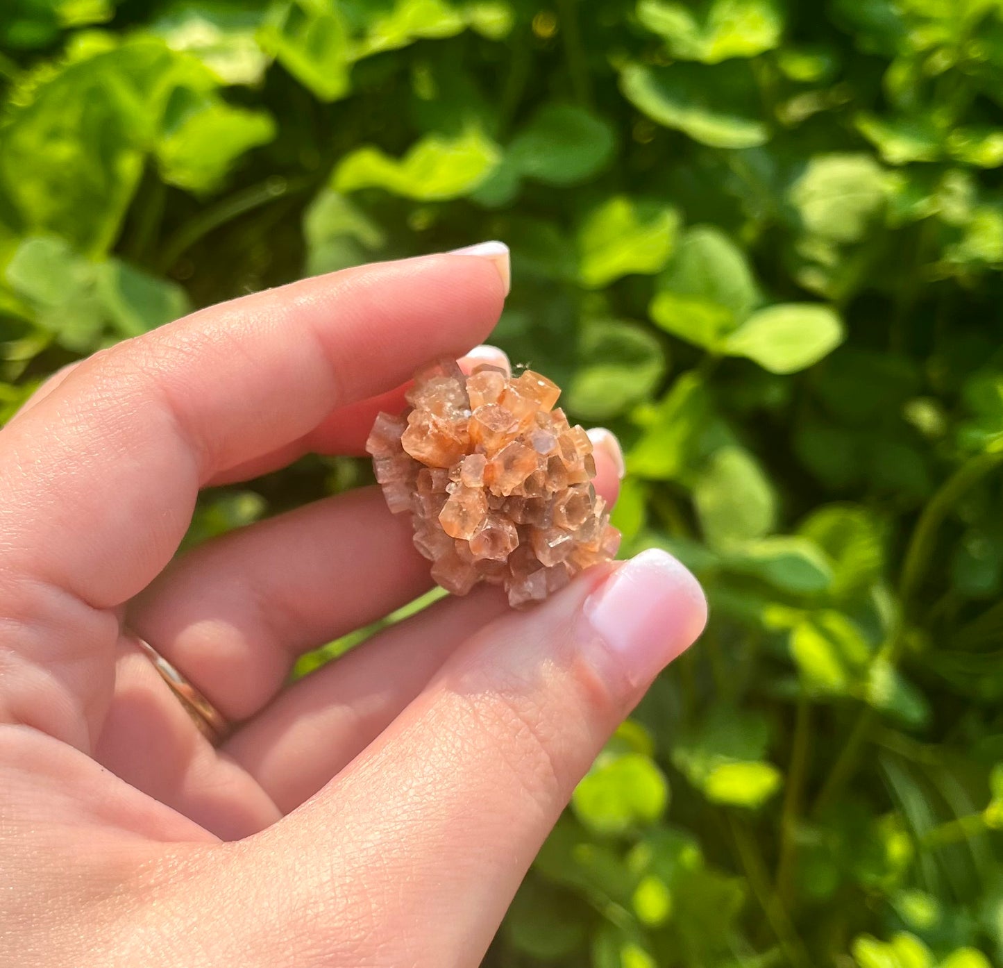 Aragonite specimen