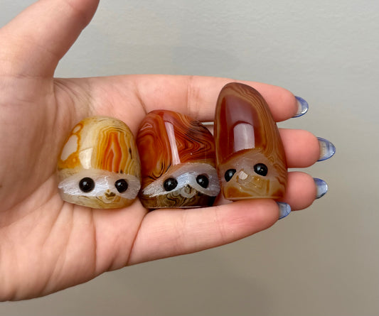 Sardonyx pebble pets