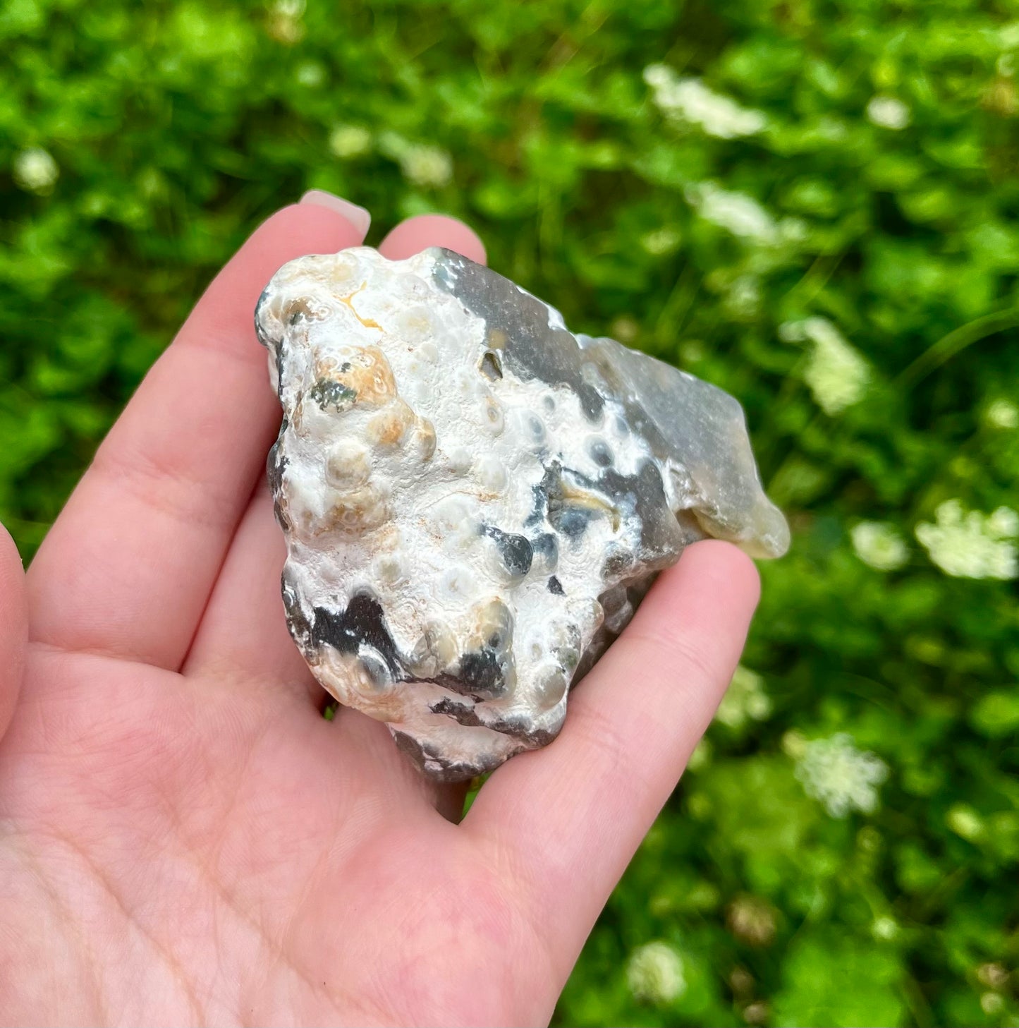 Raw ocean jasper