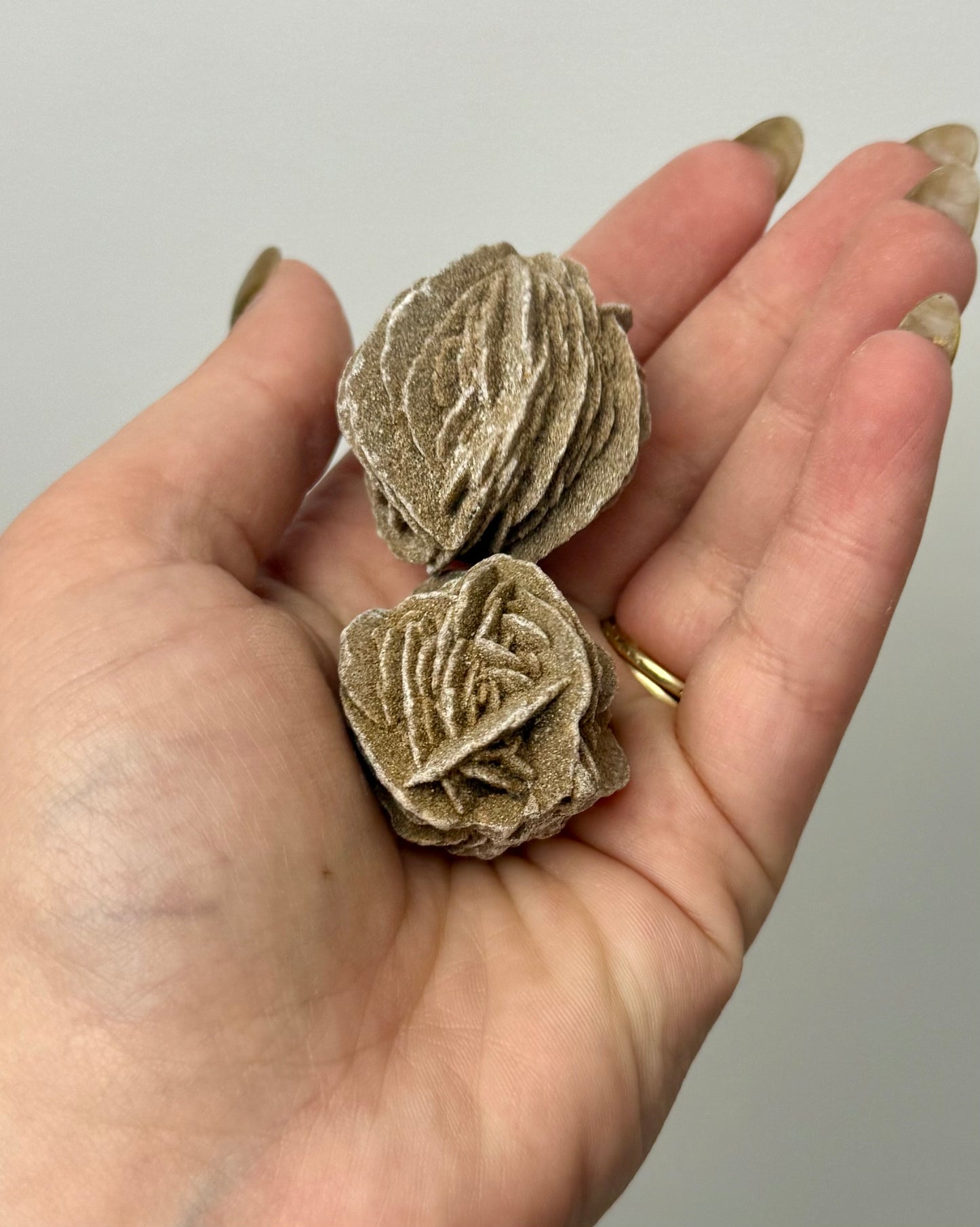 Desert rose specimens