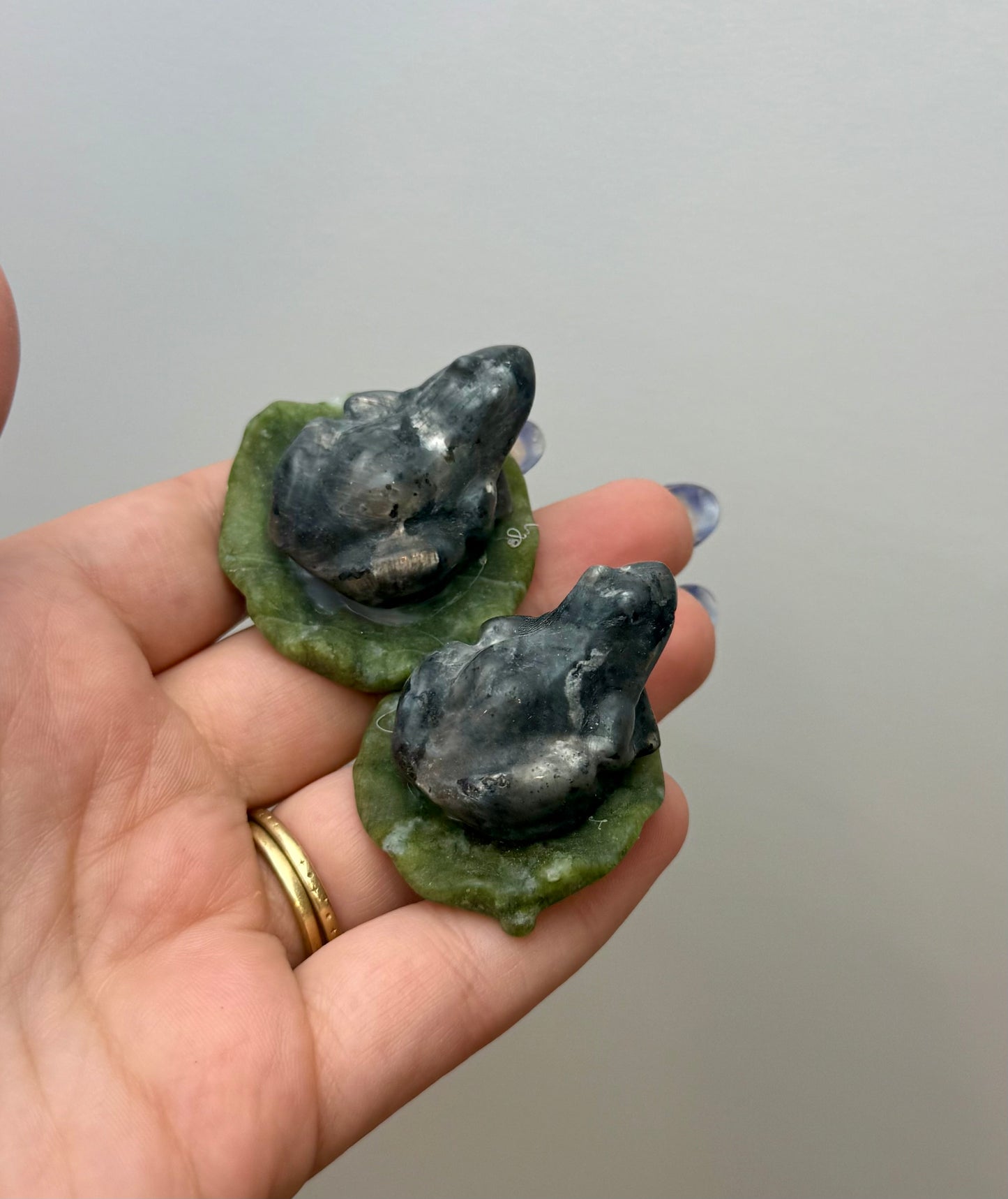 Larvikite frog on lily pad carvings