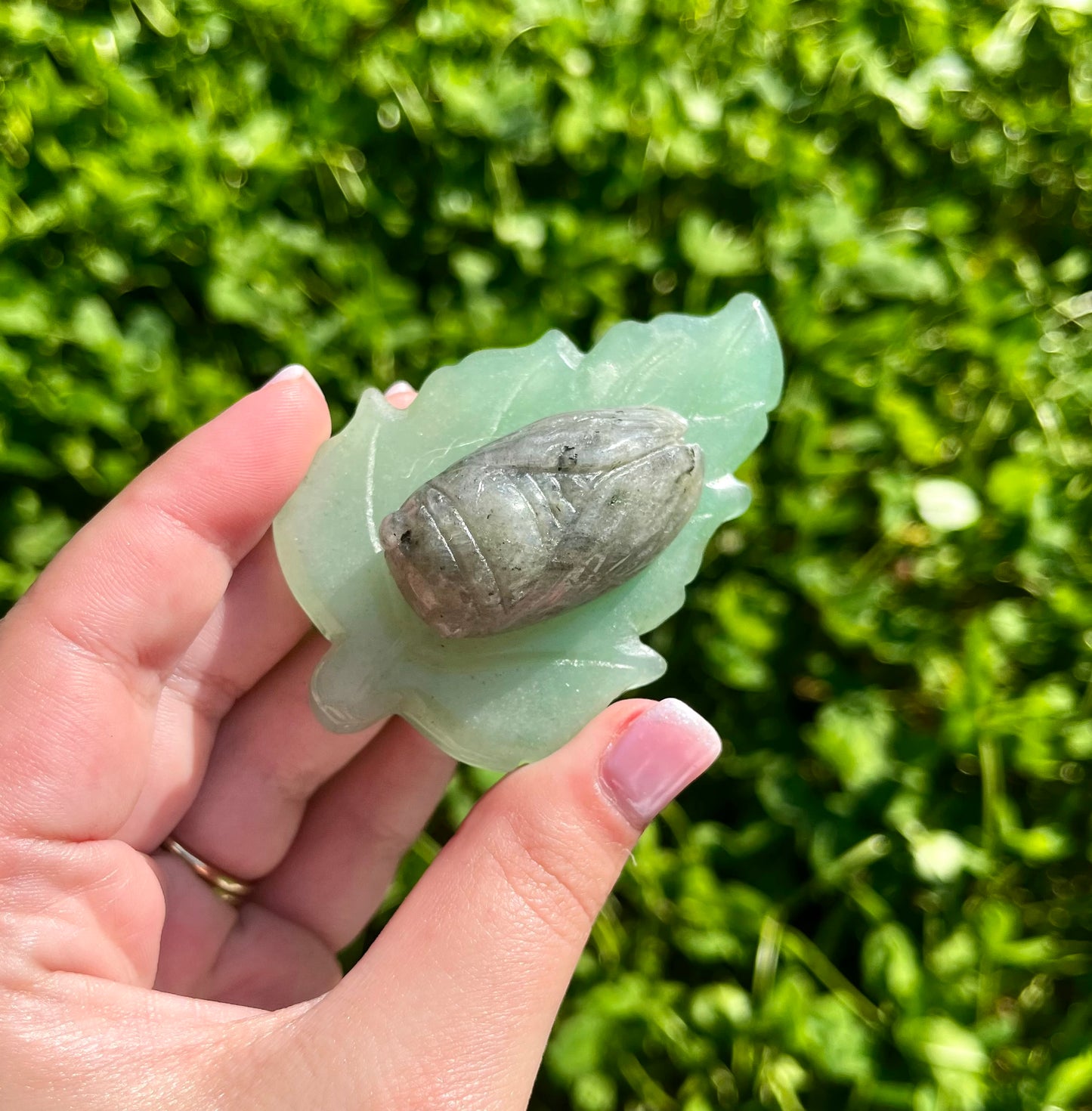 Cicada on a leaf carving