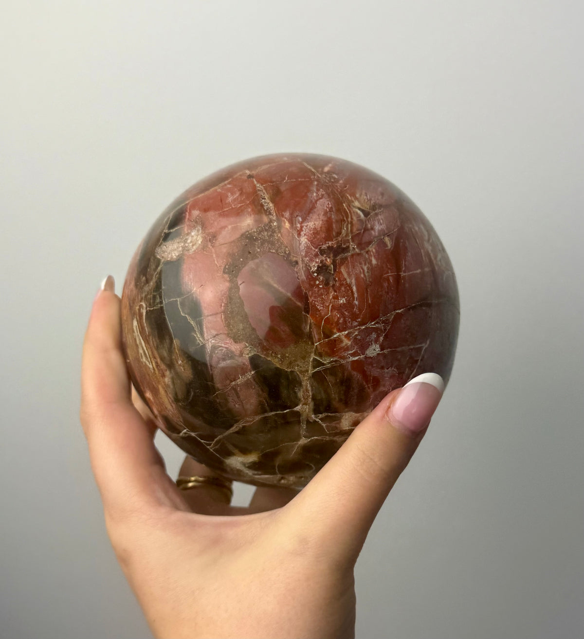 Petrified wood sphere