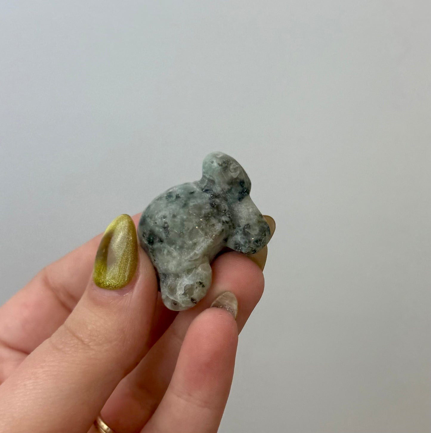 Kiwi jasper turtle carving