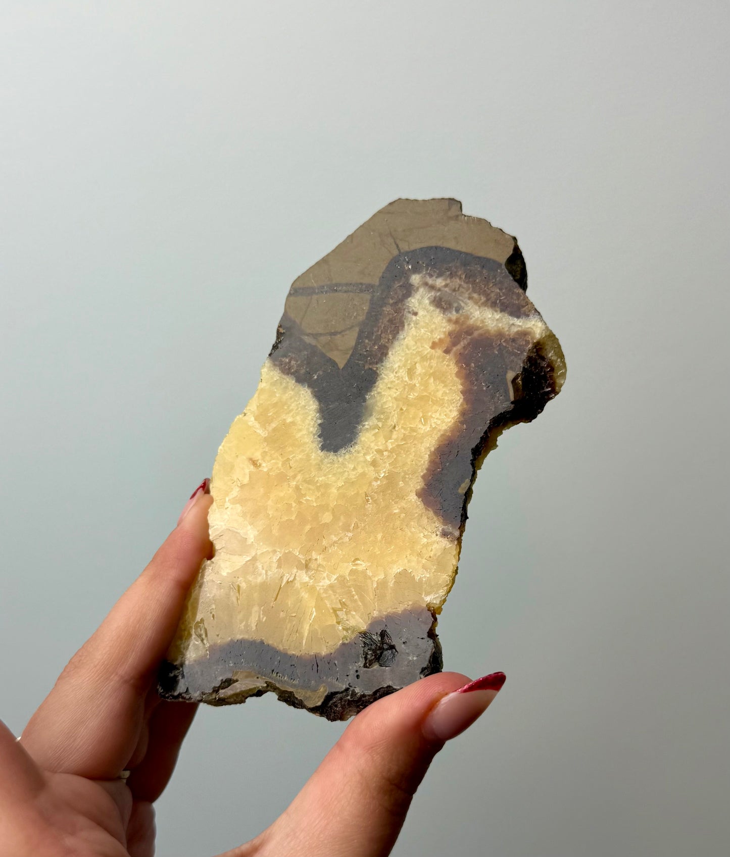 Septarian slab