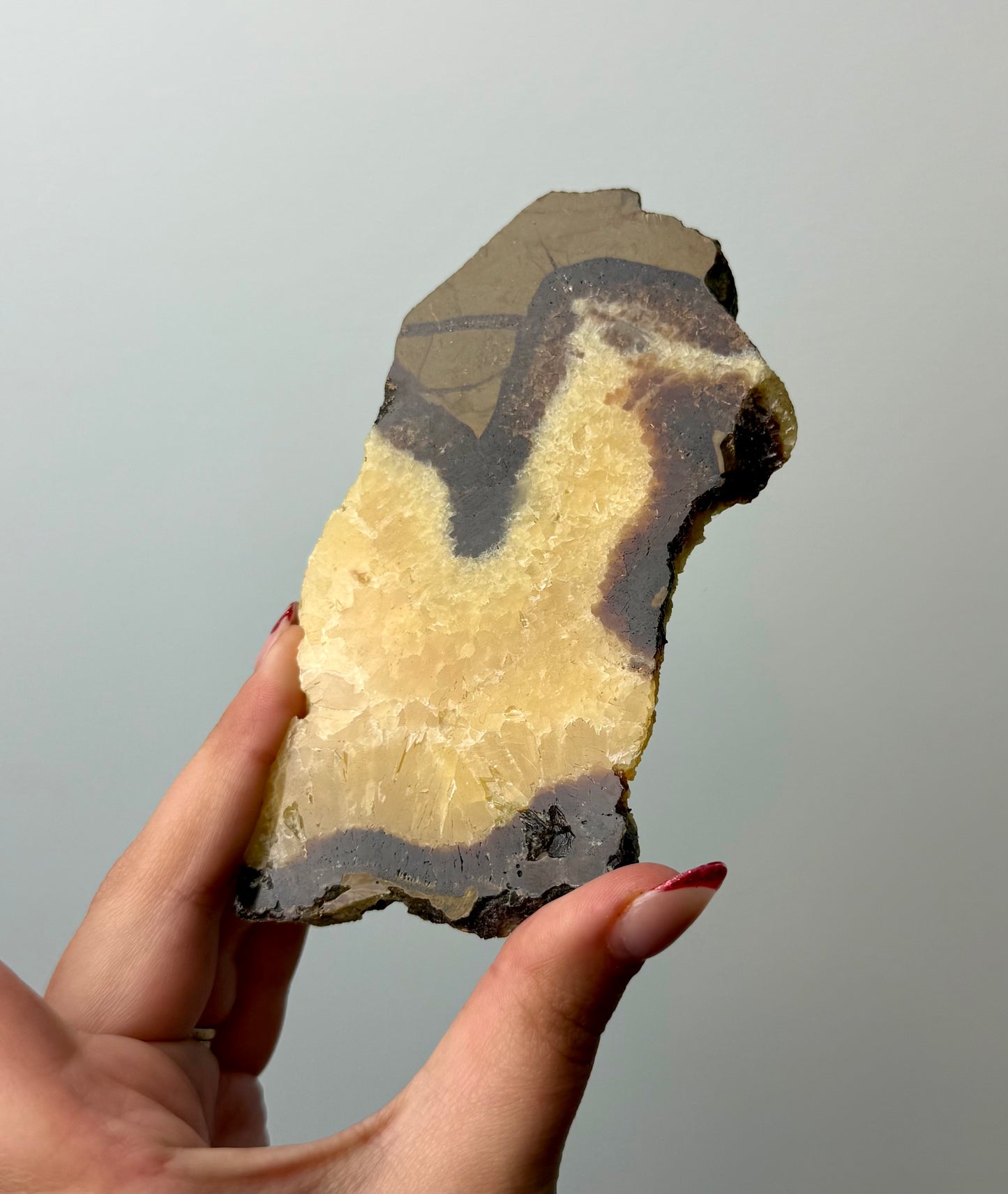 Septarian slab