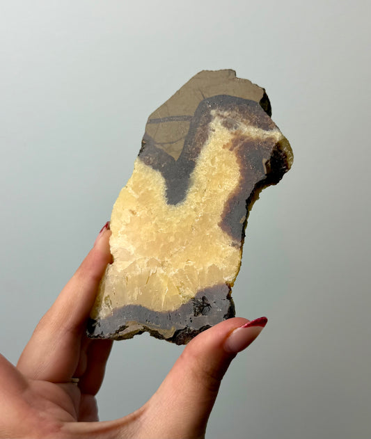 Septarian slab