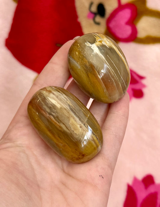 Petrified wood palm stones ￼