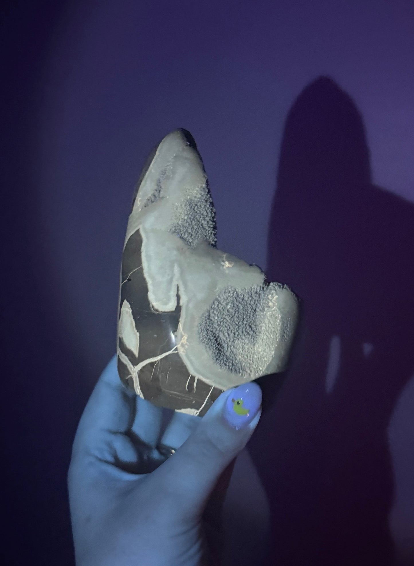 Septarian freeform