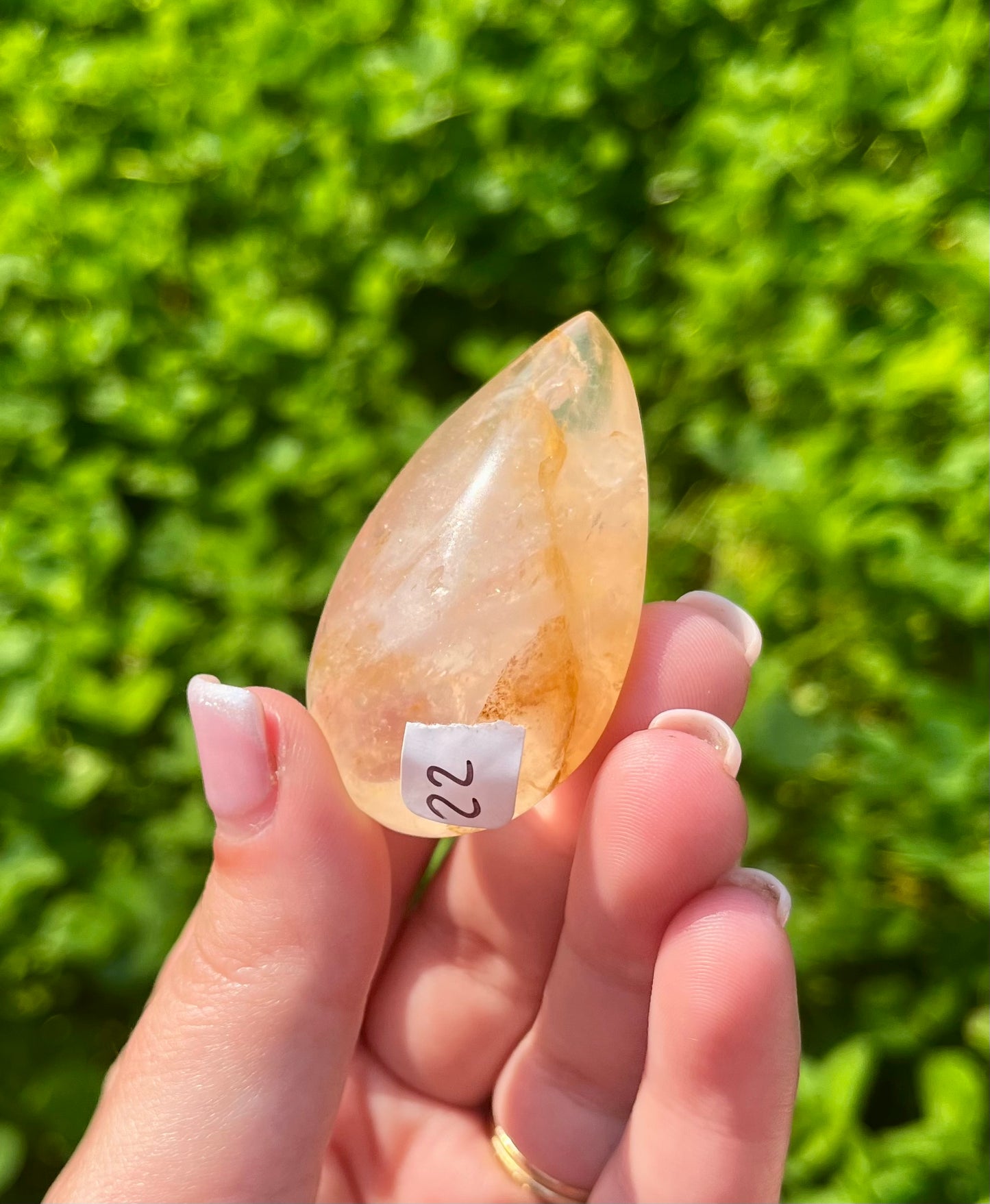 Golden healer rose quartz teardrop carvings