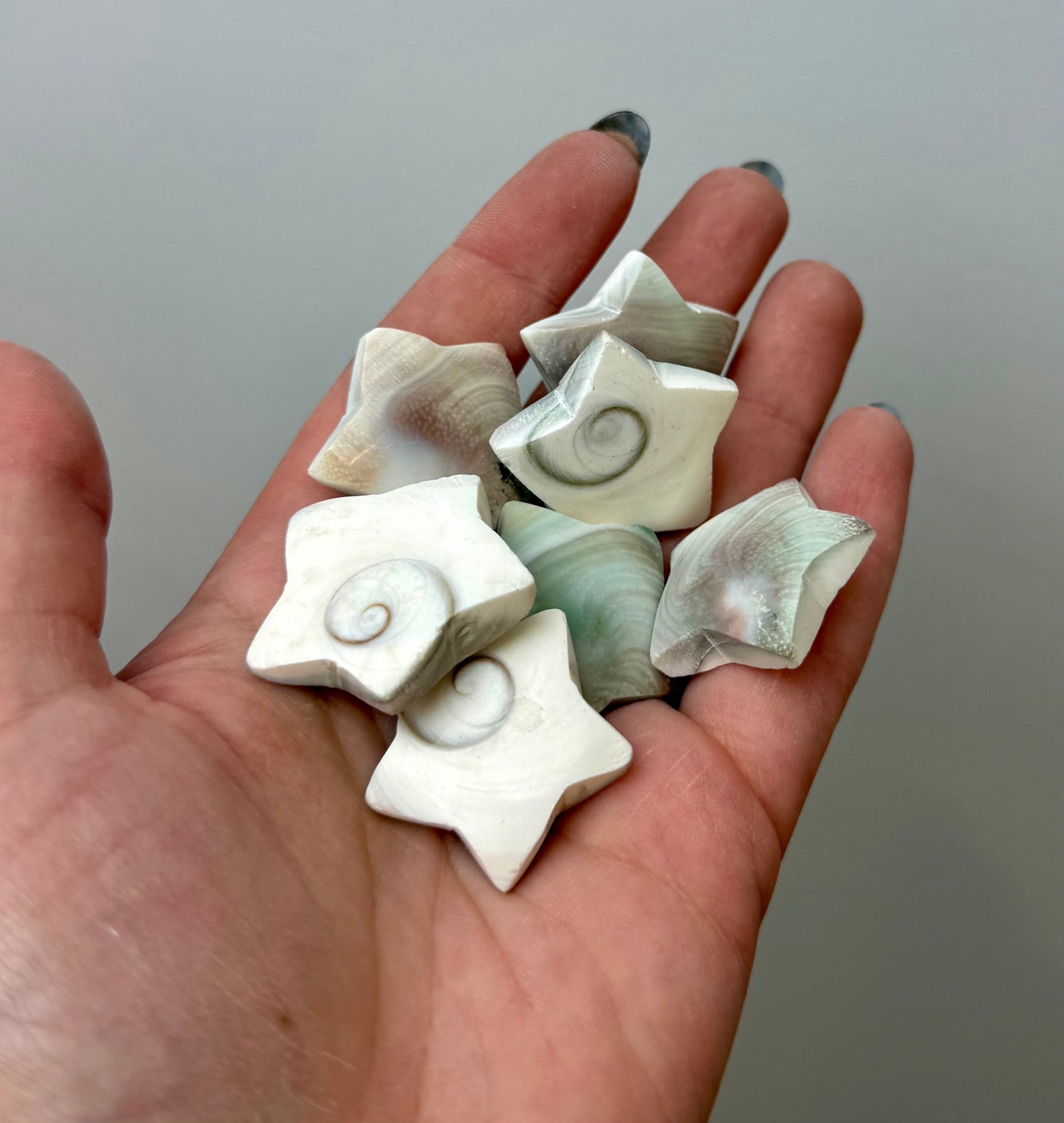 Shiva shell star carvings