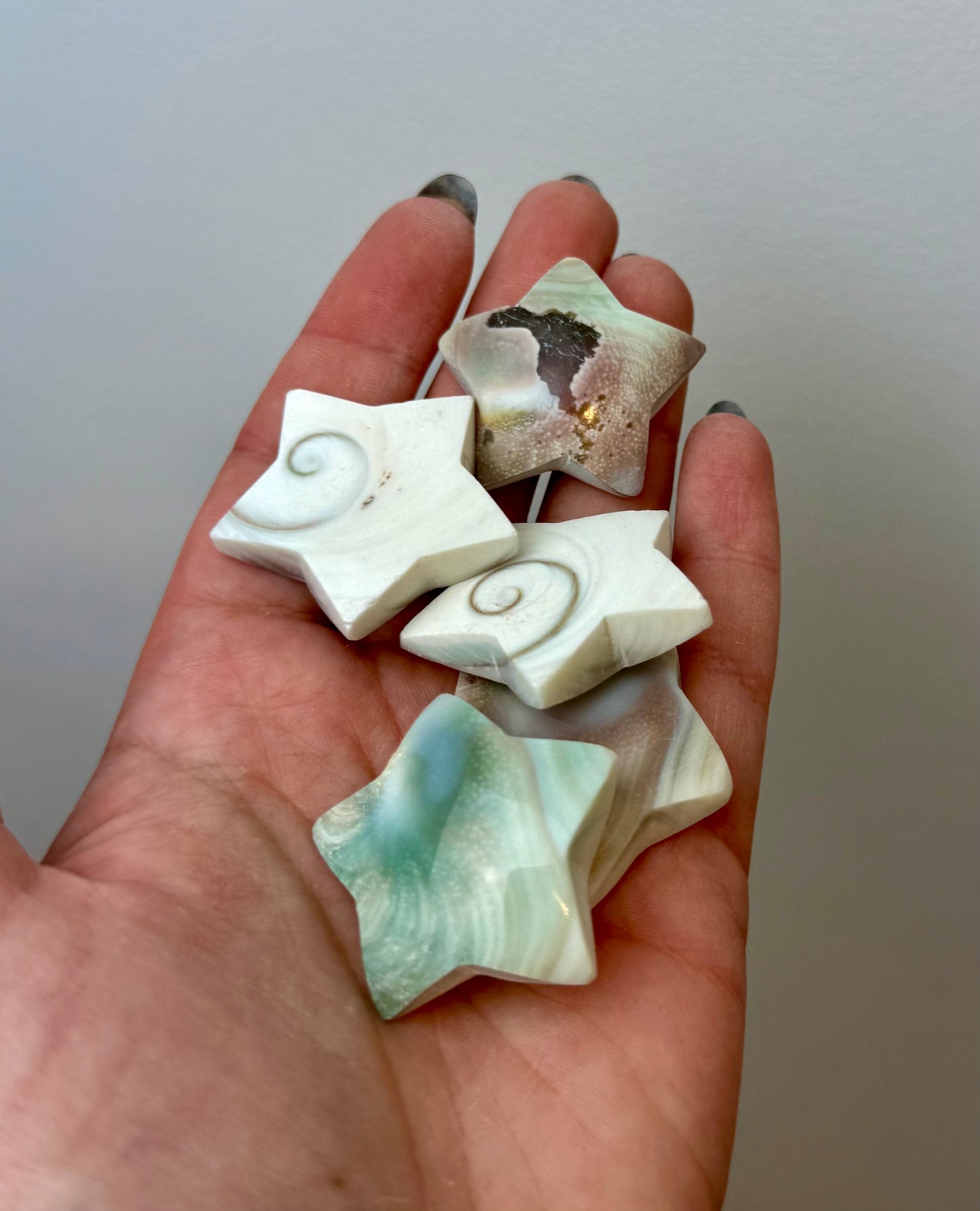 Shiva shell star carvings