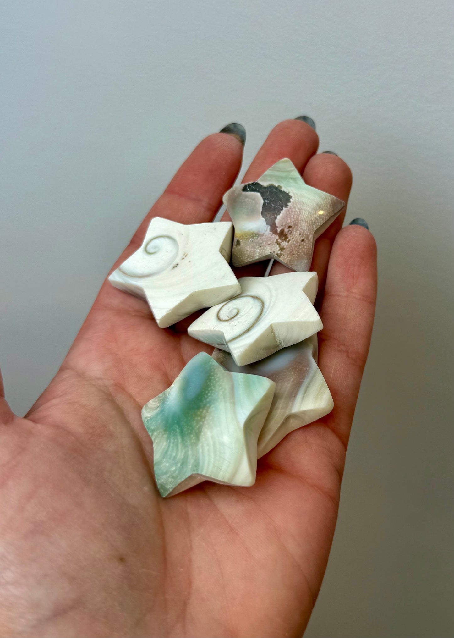Shiva shell star carvings