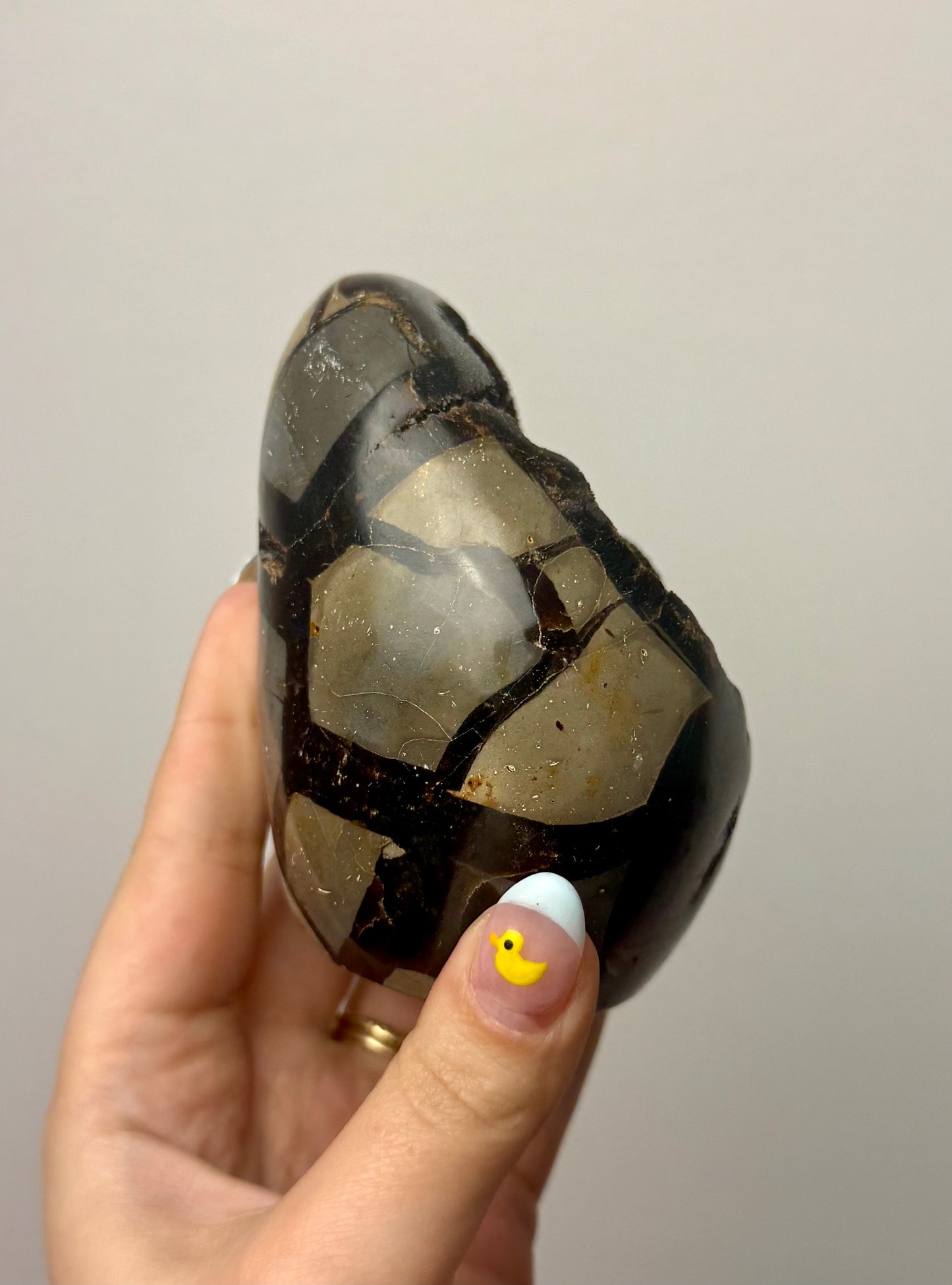 Septarian freeform