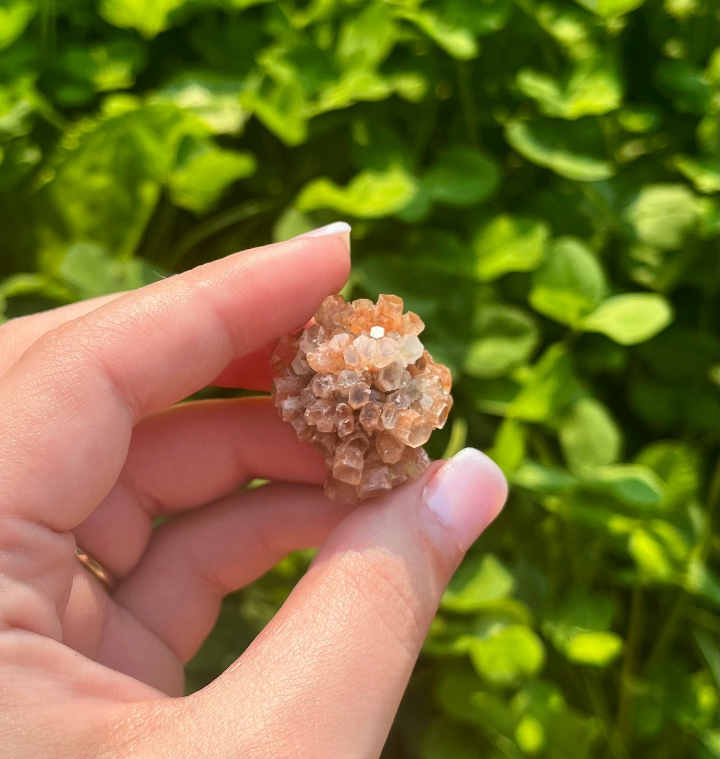 Aragonite specimen