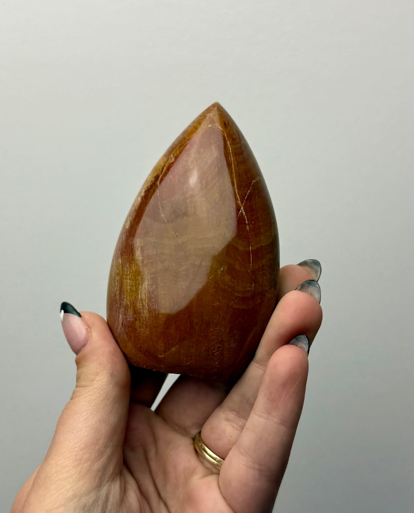 Petrified wood freeform