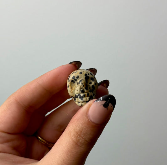 Dalmatian jasper skull carving