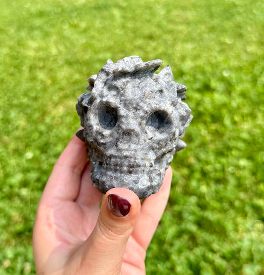 Skull with butterflies carvings