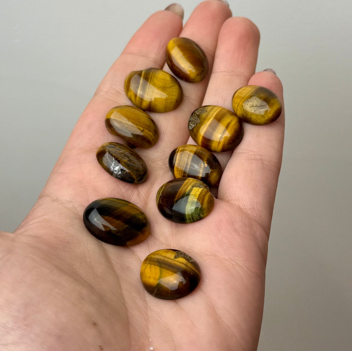 Tigers eye cabochon carvings