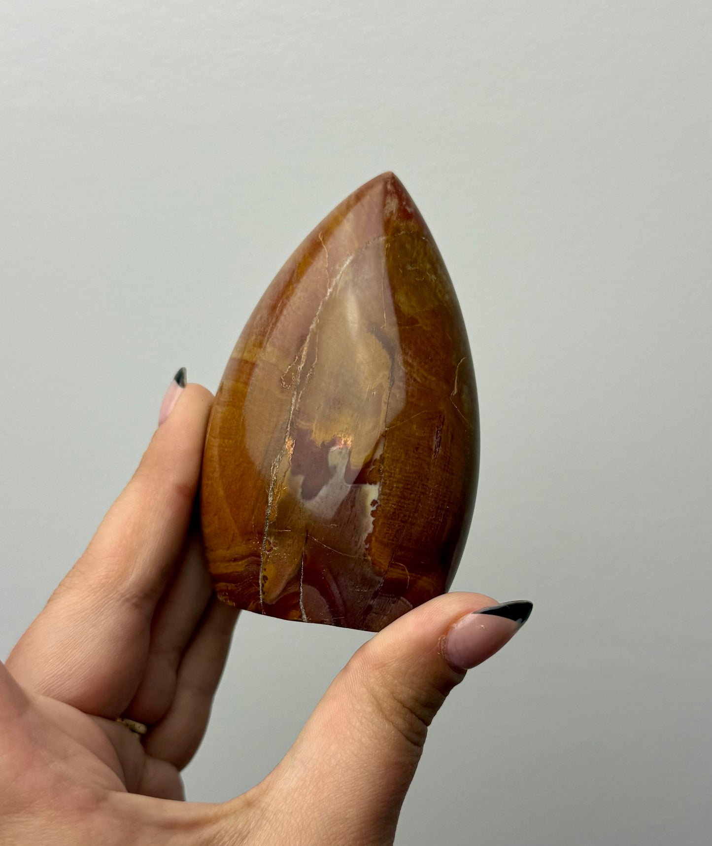 Petrified wood freeform