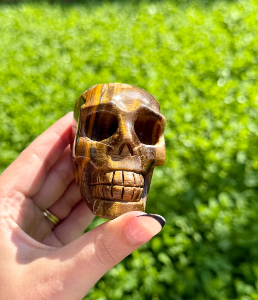 Tigers eye skull carving