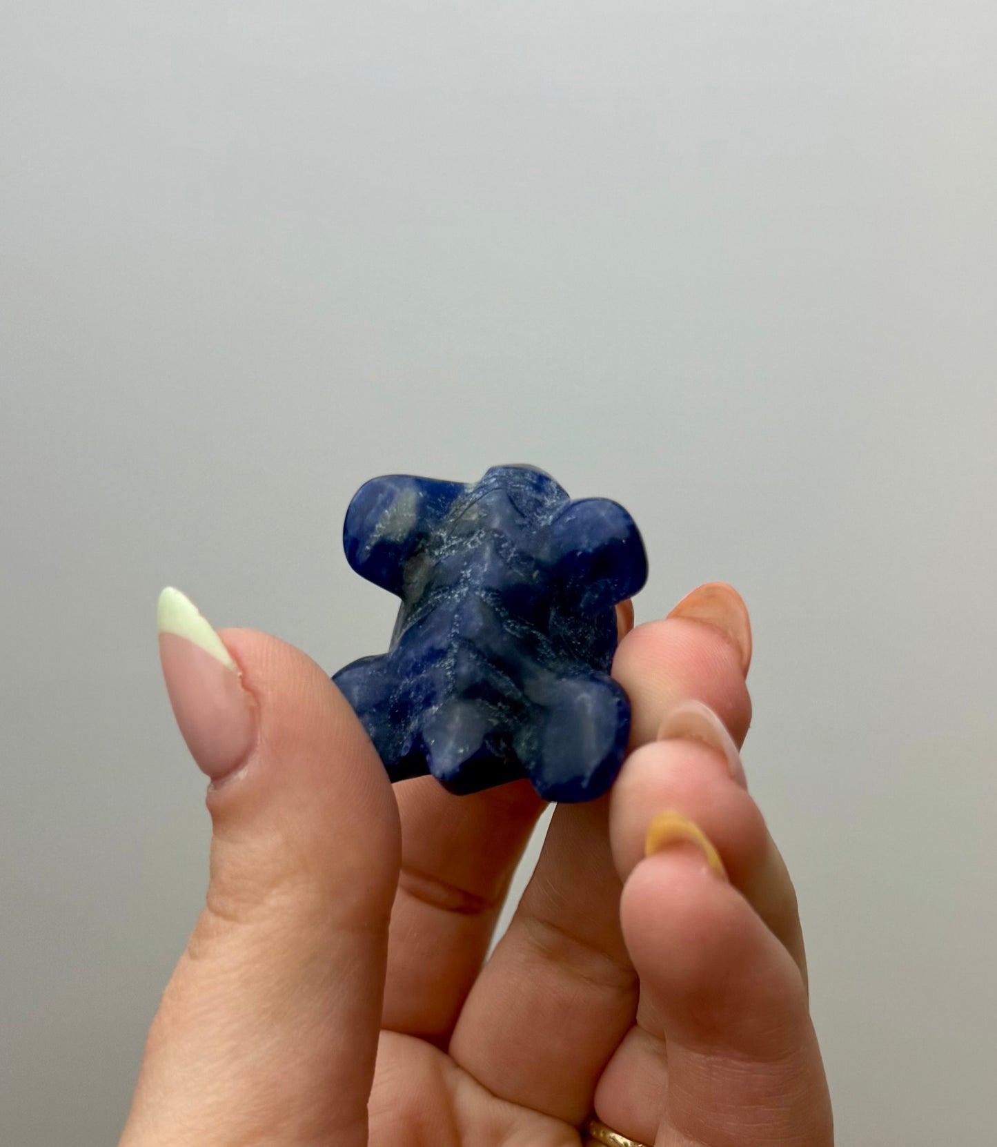 Sodalite turtle carving