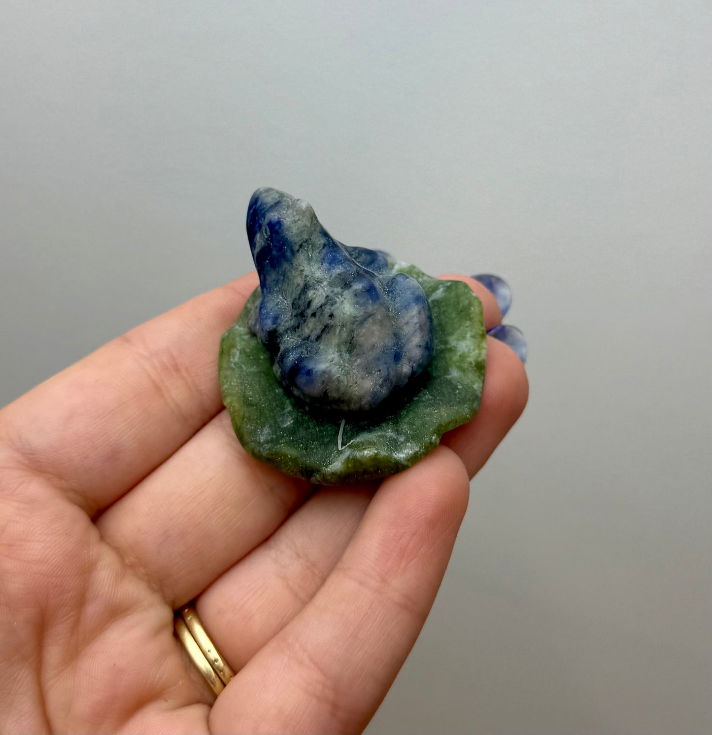 Sodalite frog on a lily pad carving