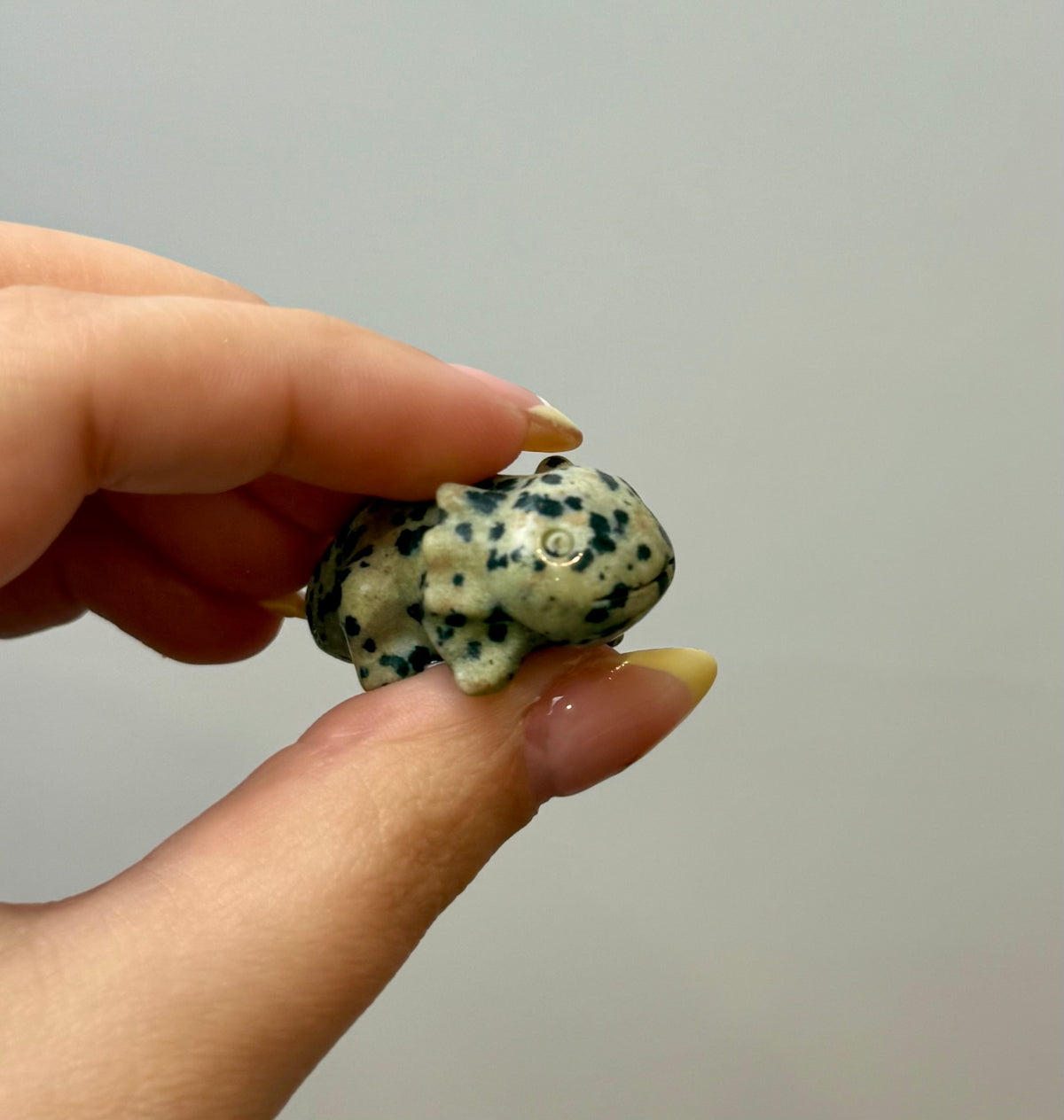 Dalmatian jasper axolotl carving ￼