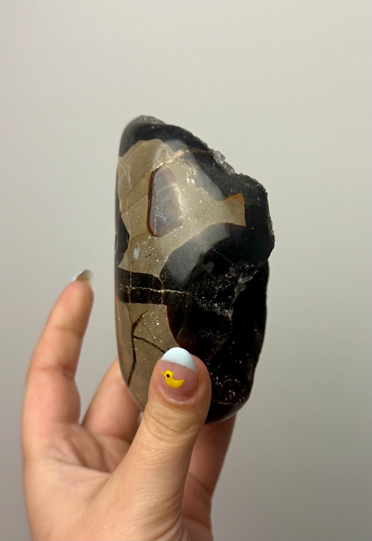 Septarian freeform