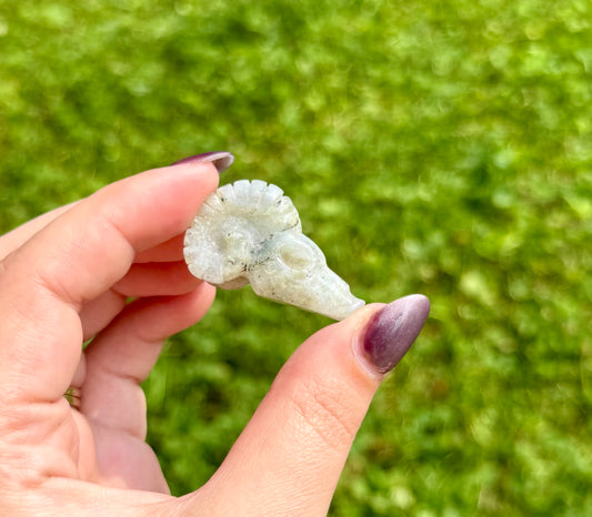 Labradorite goat skull carving