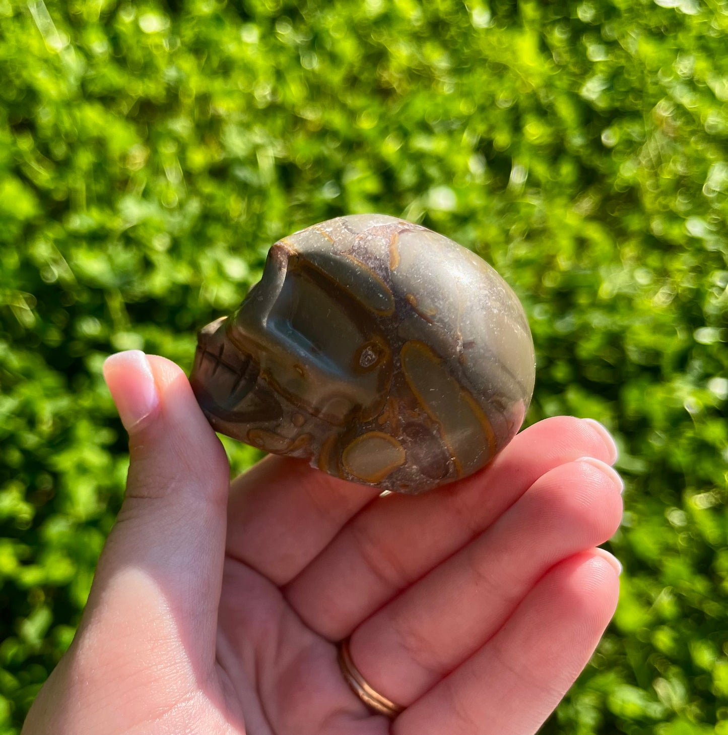 Skull carving