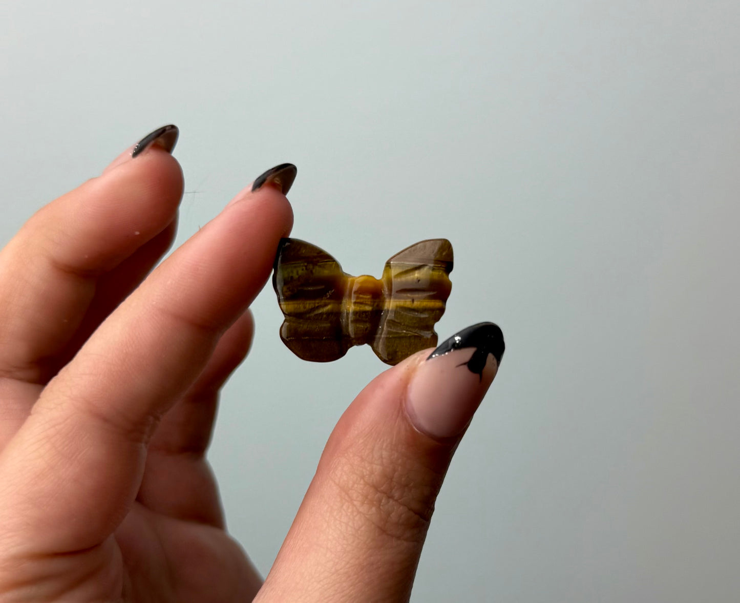 Tigers eye butterfly carving