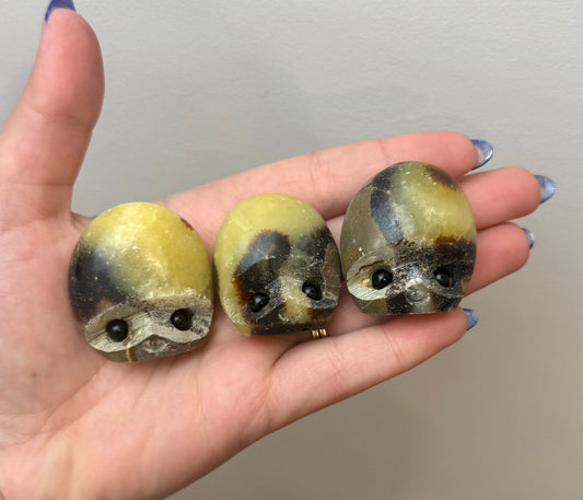 Septarian pebble pets