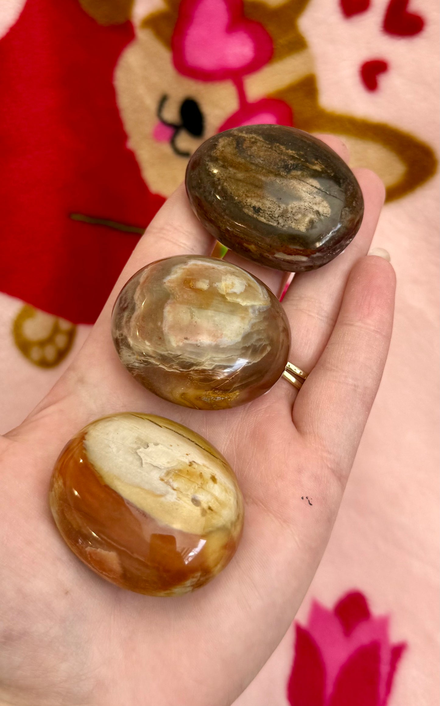 Petrified wood palm stones