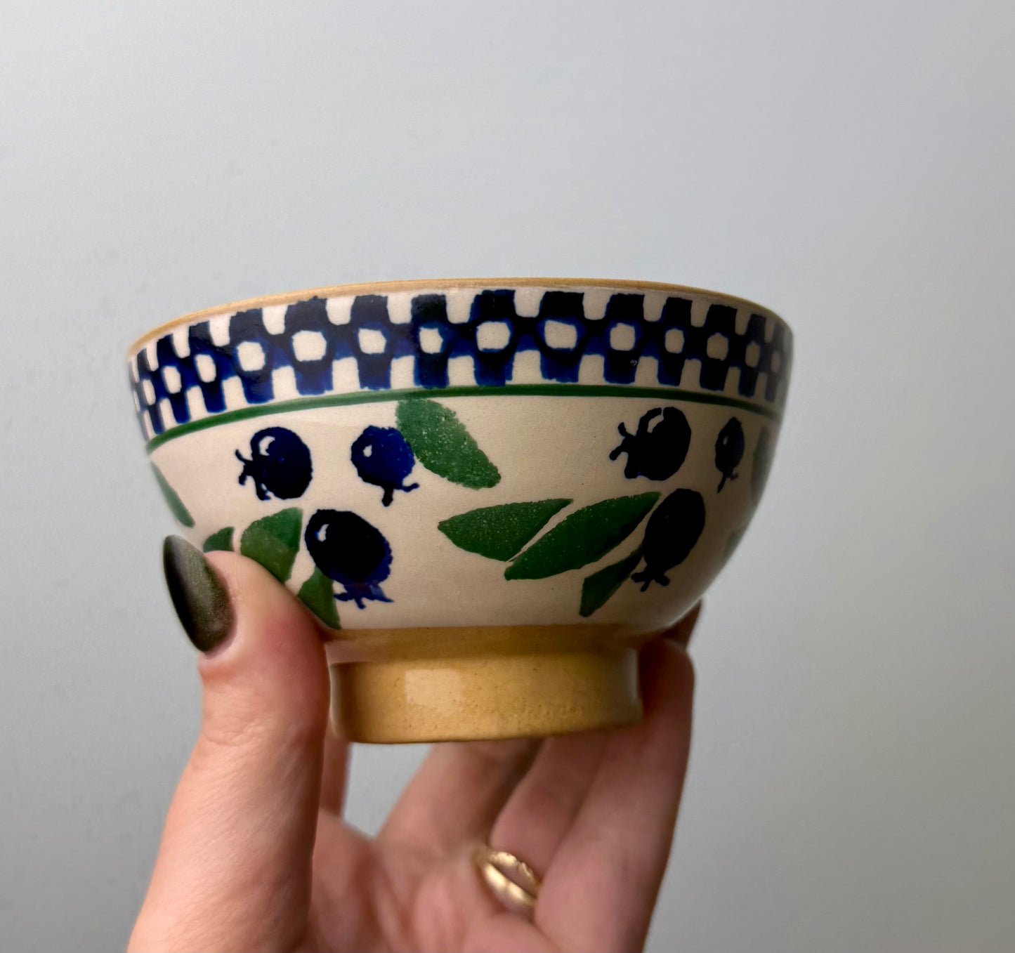 Blueberry bowl thrifted find