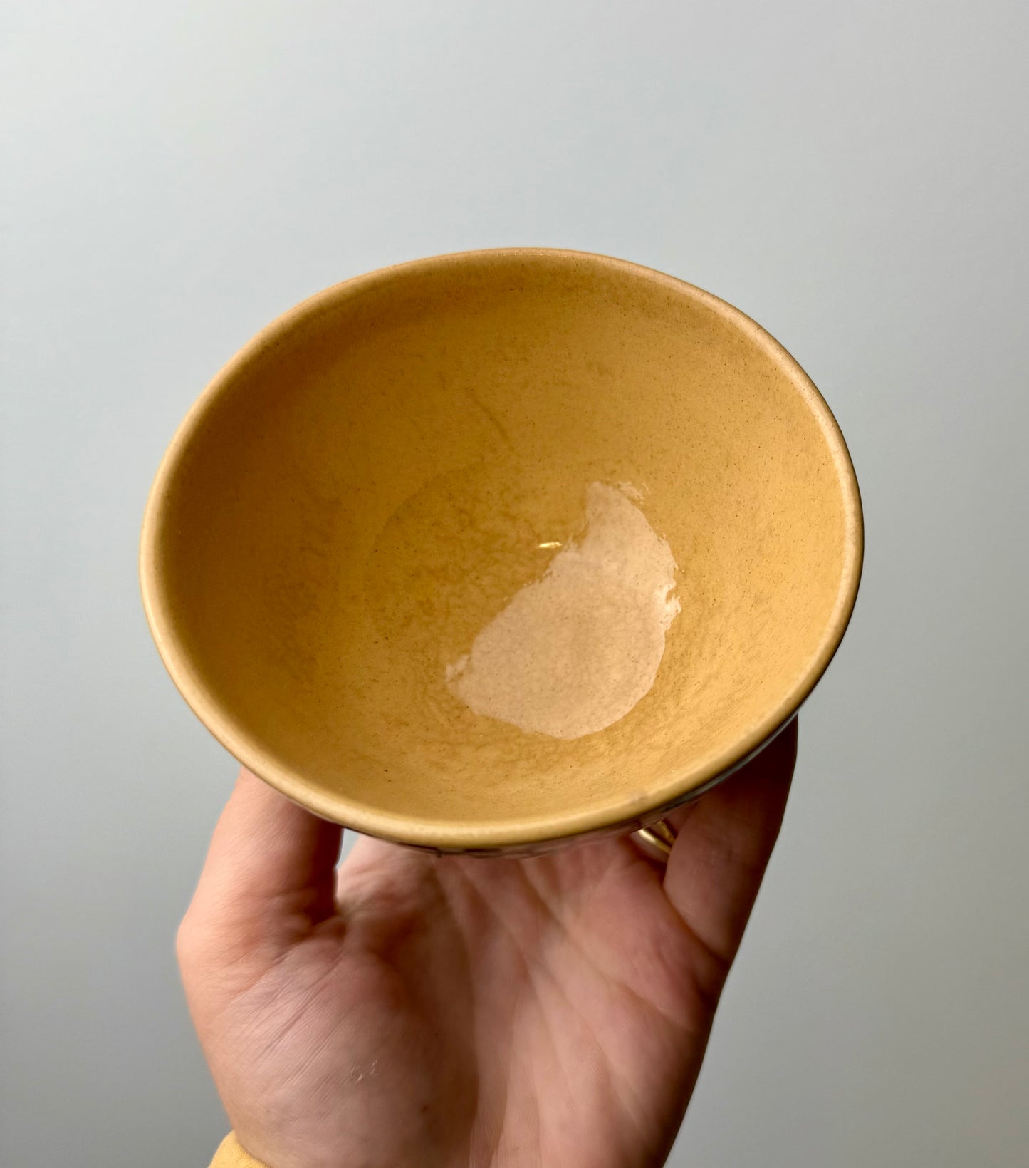 Blueberry bowl thrifted find