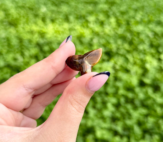 Tigers eye whale tail carving