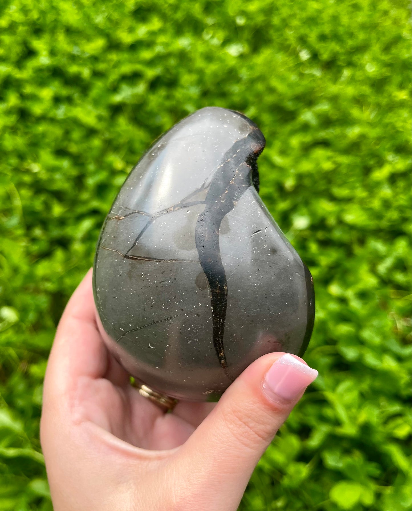 Septarian egg