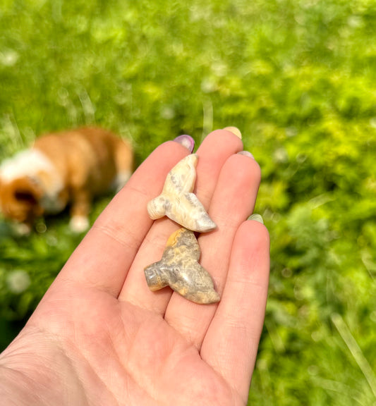 Crazy lace agate whale tail carvings