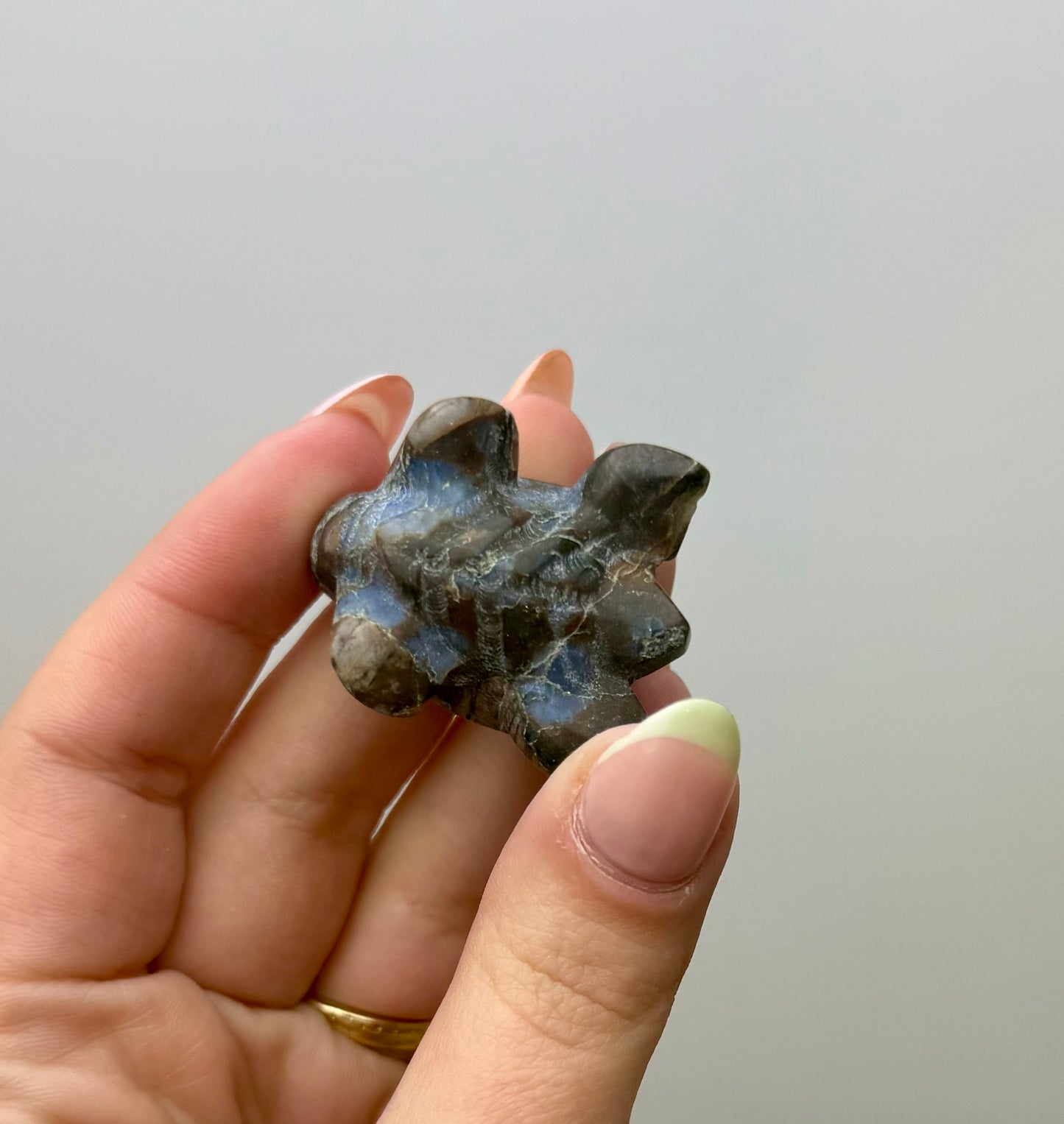 Que-sera turtle carving